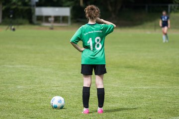 Bild 135 - F VfL Pinneberg - GW Eimsbuettel4 : Ergebnis: 9:0
